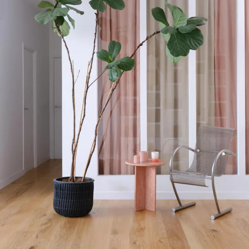 BerryAlloc Les Essentiel Regular Oak Authentique 01 Lumia - Parket