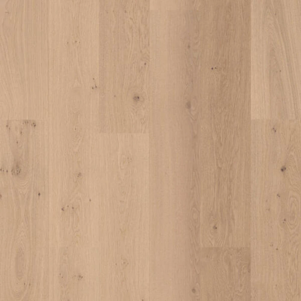 BerryAlloc Parqwood XXL Long Oak Naturel Nude - Parket