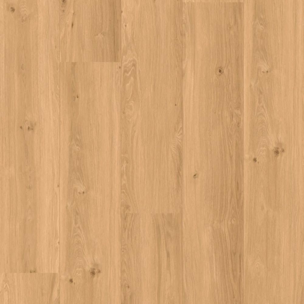 Coretec XL-end Chambord - Click Vinyl