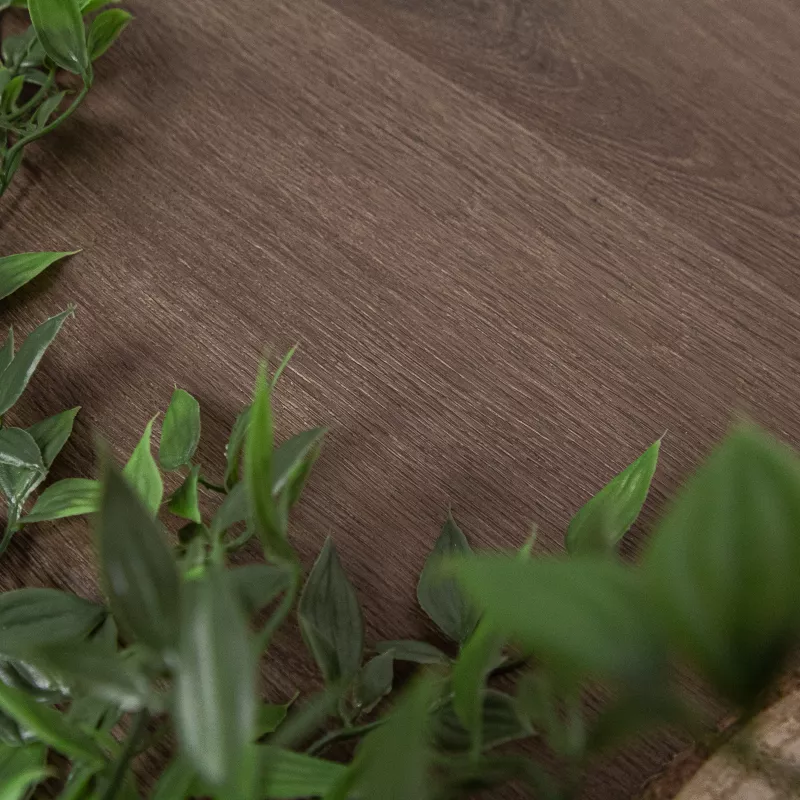 Finyl Go+ Planks Orne - Click Vinyl