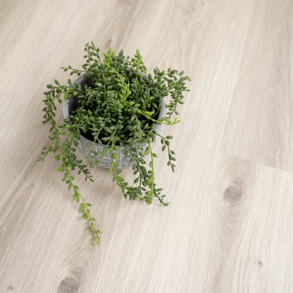 Finyl Go+ Planks Adour - Click Vinyl