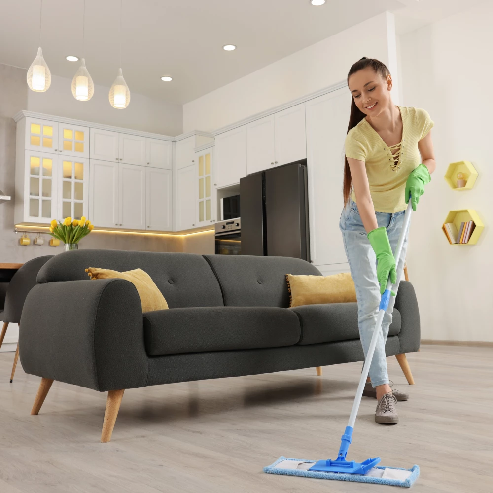 Finyl Premium Planks Monts Dore - Click Vinyl