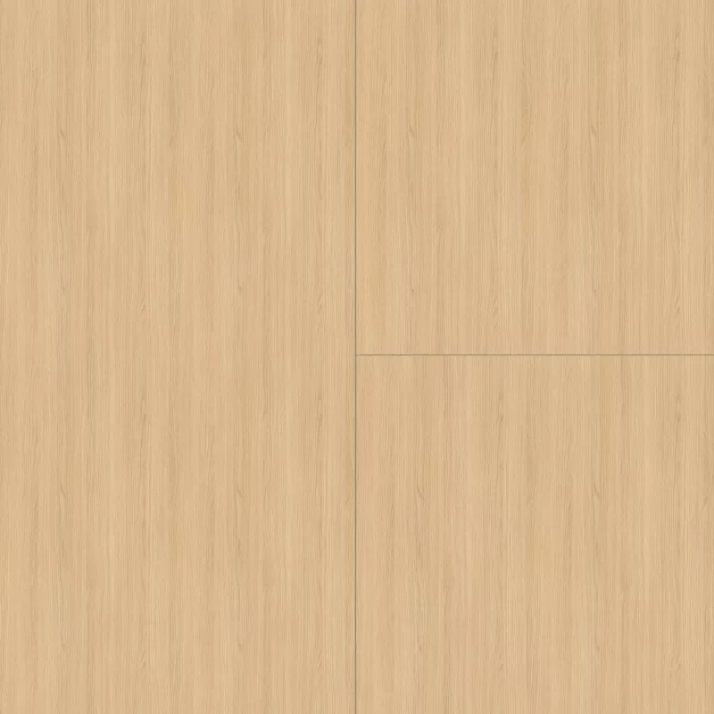 Panidur Home Vicenza - Plafond